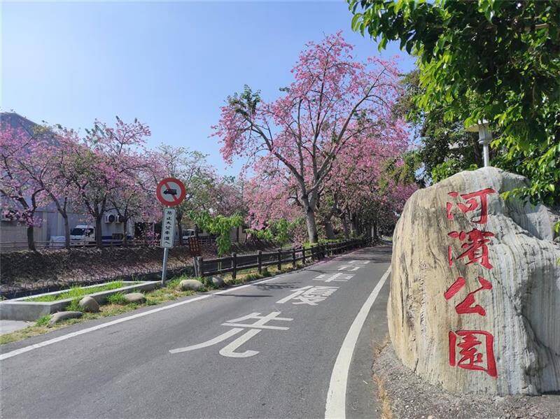 心花朵朵開～秋遊彰化賞花趣